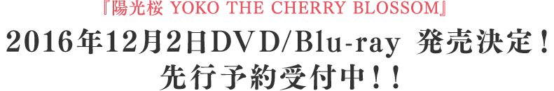  『陽光桜 YOKO THE CHERRY BLOSSOM』 2016年12月2日DVD/Blu-ray 発売決定！ 先行予約受付中！！
